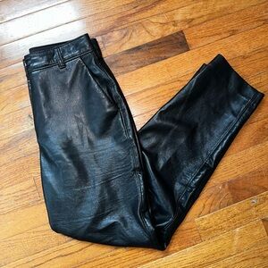 Aritzia Babaton leather pants